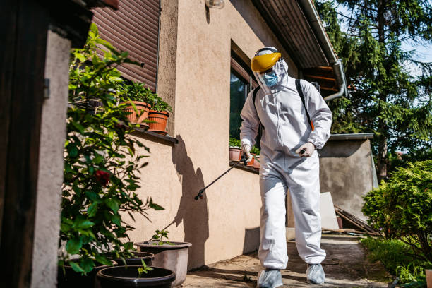 Wasp Removal Services in Logan Elm Village, OH