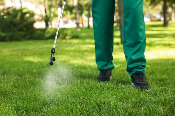 Best Best Pest Control Companies  in Logan Elm Village, OH