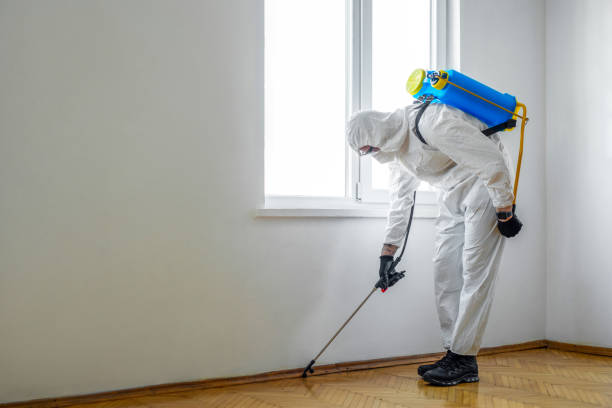 Best Wasp Removal Services  in Logan Elm Village, OH
