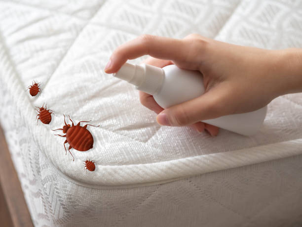 Best Pest Removal Services  in Logan Elm Village, OH