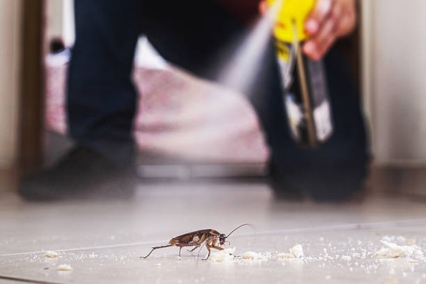 Best Emergency Pest Control  in Logan Elm Village, OH