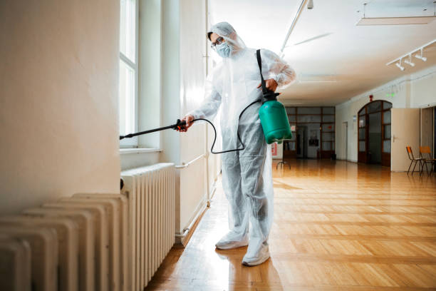 Reliable Logan Elm Village, OH Pest Control Solutions