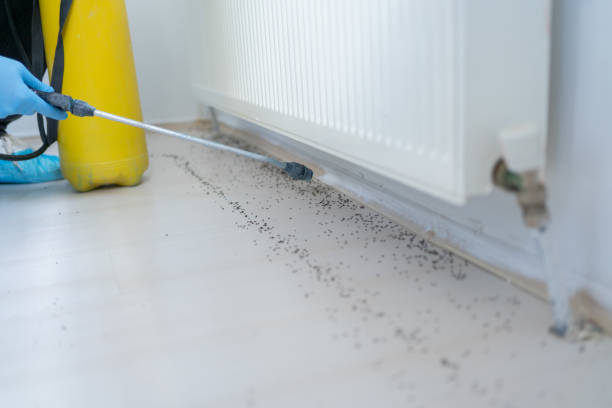  Logan Elm Village, OH Pest Control Pros