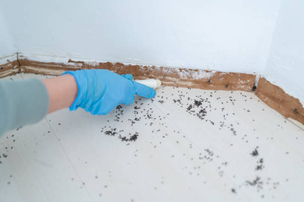 Best Mosquito Control Services  in Logan Elm Village, OH