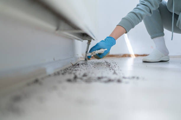 Best Rat Extermination Near Me  in Logan Elm Village, OH
